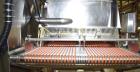 Used Quantum Model P200 Pepperoni Topping Applicator